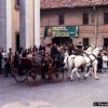 fiera_1981006_[Fiera]