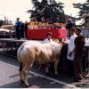 fiera_1983004_[Fiera]