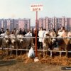 fiera_1983012_[Fiera]