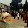 fiera_1989011_[Fiera]
