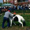 fiera_1990007_[Fiera]