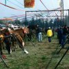 fiera_1990013_[Fiera]