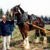 fier1995007_[Fiera]
