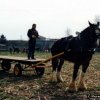 fier1995011_[Fiera]