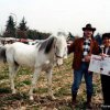 fier1995013_[Fiera]