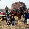 fier1995016_[Fiera]