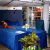 fiera_2000022_[Fiera]