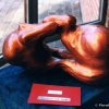 fiera_2000025_[Fiera]
